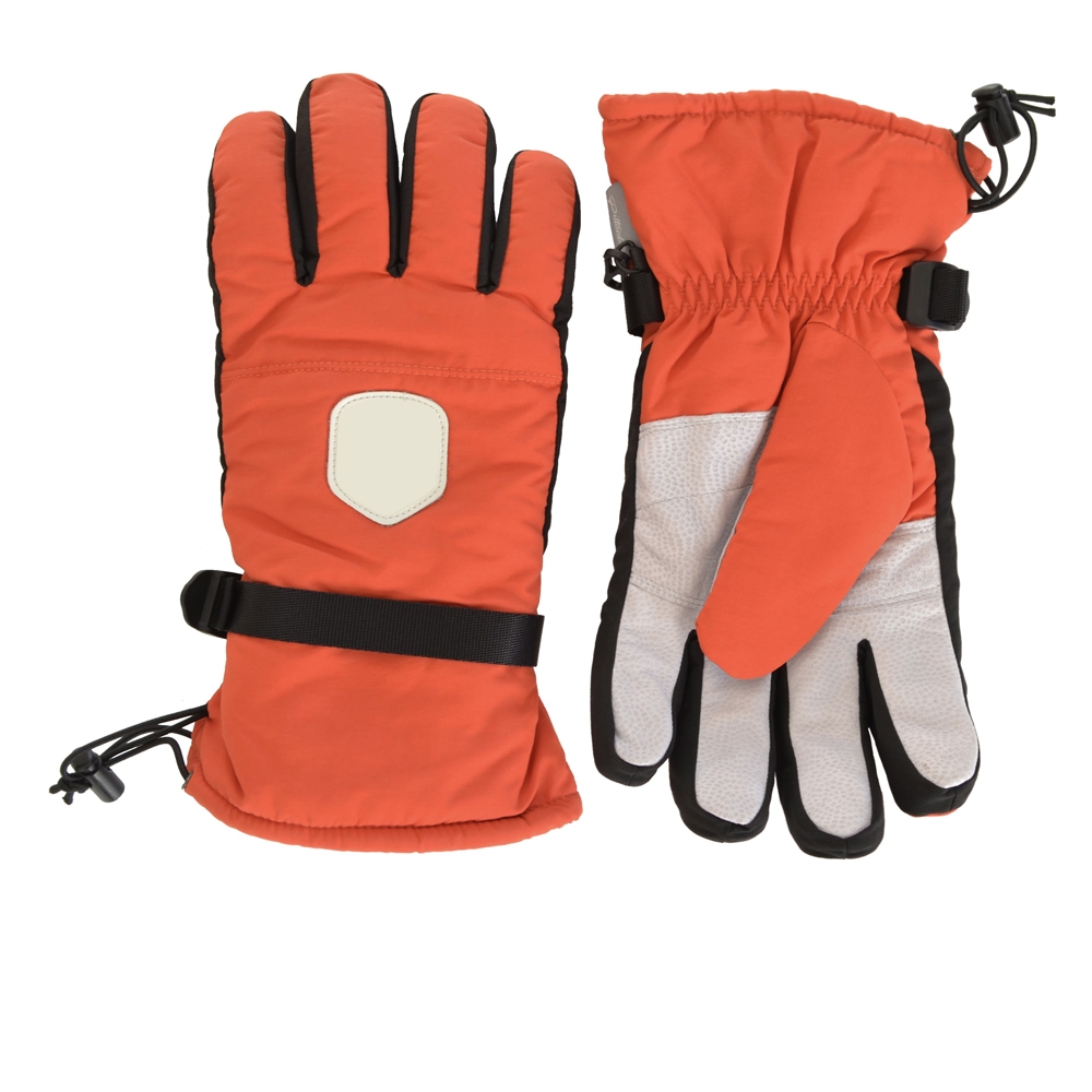 Ski GLoves